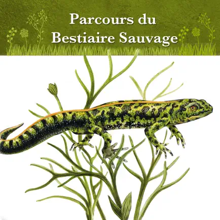 Bestiaire sauvage Читы