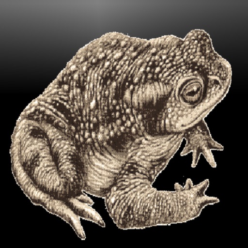 iWeazle - the toad icon