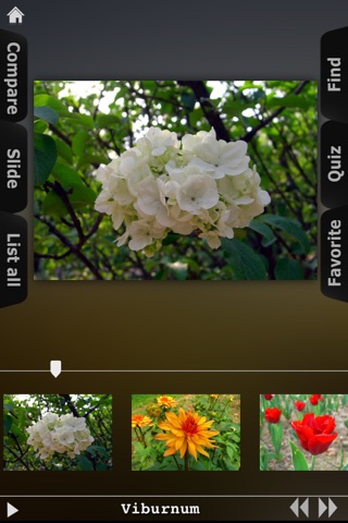 Flower Collection screenshot 3