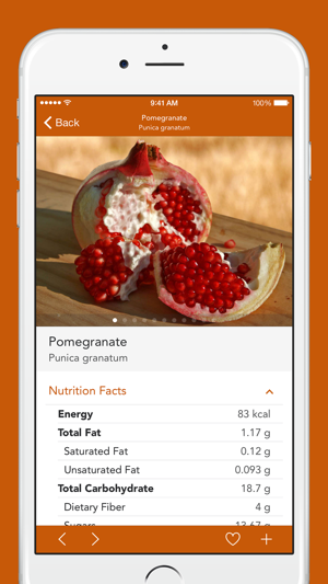 Exotic Fruits and Vegetables 2 PRO - NATURE MOBILE(圖3)-速報App