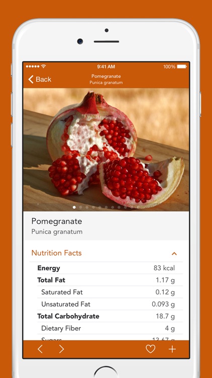 Exotic Fruits and Vegetables 2 PRO - NATURE MOBILE