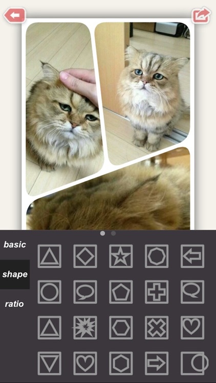 Lens Collage : Clone Photo Video Editor - Fun Movie Maker for Facebook, Instagram screenshot-4