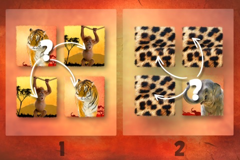 Wildlife Safari Photo Memo Puzzle Free screenshot 2