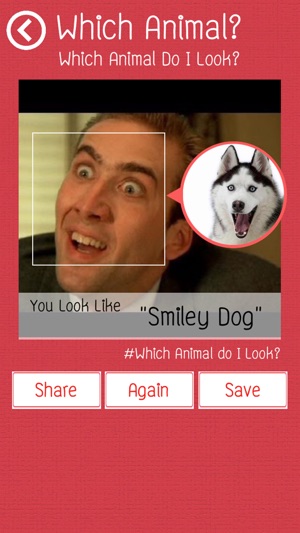 Which Animal Do I Look?(圖4)-速報App