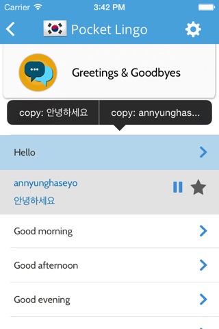 Korean Pocket Lingo - for trips to Seoul & Korea screenshot 4