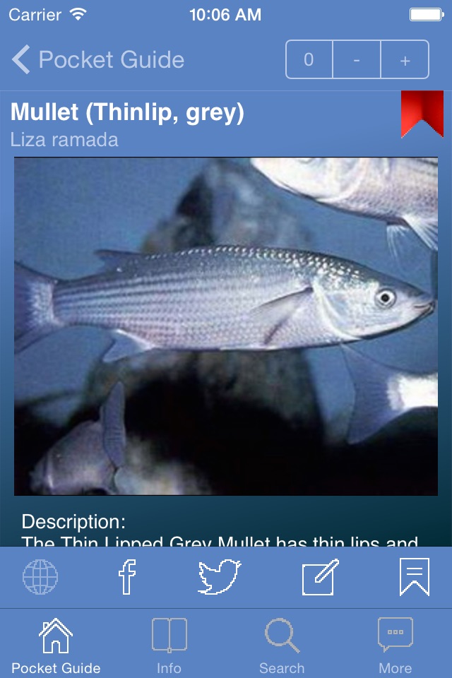 Pocket Guide UK Sea Fishing Lite screenshot 3