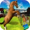 Wild Horse Fury 3D - Real Crazy Animal Rampage Game to Ride & Destroy the City