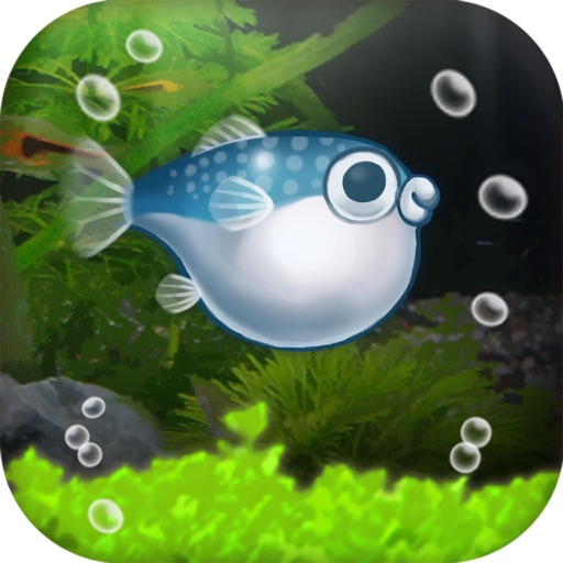 ぼくのフグさん水族館 無料でかわいい癒し系育成ゲーム By Seec Inc