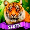 African King Tiger Tresure Slots-win progressive payout with new chip bonus