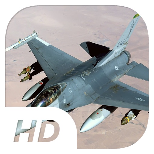 Touch Down HD - Flight Simulator icon