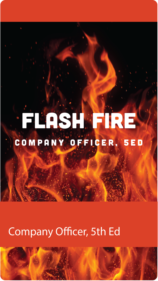 Flashfire. Флешка в огне. Officers of the Company. Fire Flash records.