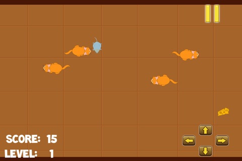 Super Fast Rodent Rally screenshot 3