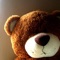 This App selected critically the best Teddy Bear theme images,pictures and photos, all of which are of HD gallery-standard artworks with highest quality