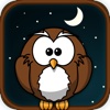 Owly & Friends Fun