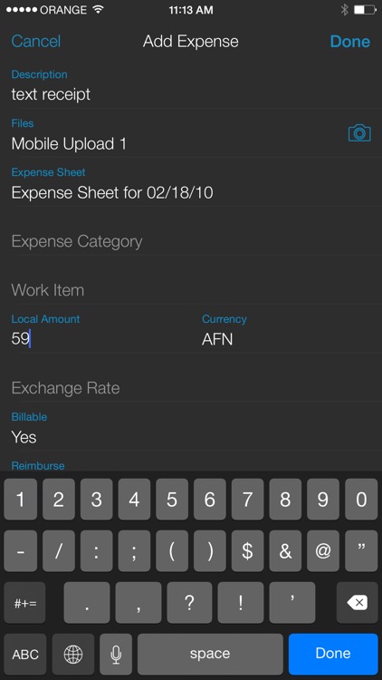 Clarizen Inc. screenshot-4
