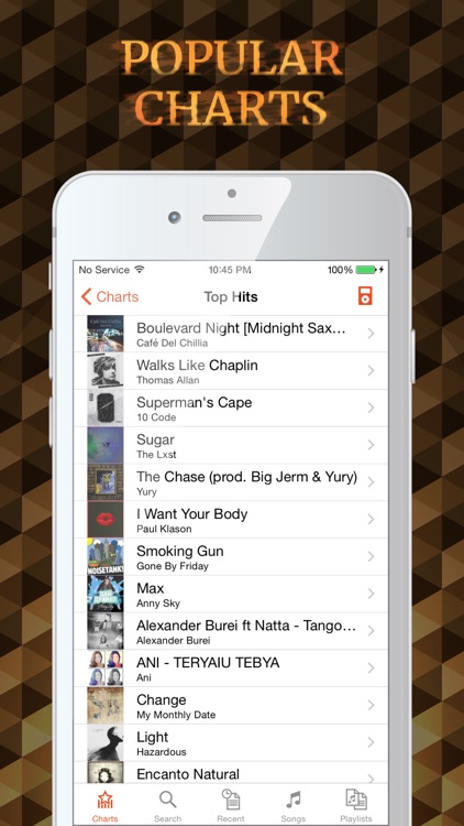 MusiPro - Music Player and Streamer