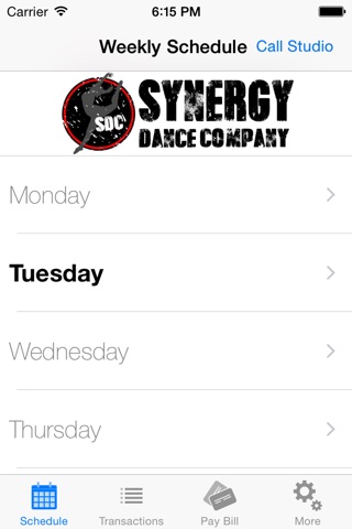 Synergy Dance Company screenshot 2