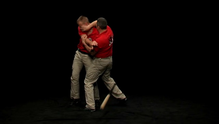 Krav Maga - Basic Techniques screenshot-3