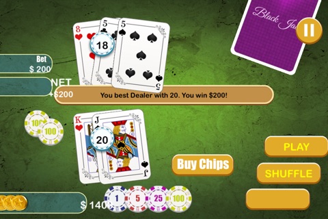 21 BlackJack Casino Blitz Pro - Best card challenge gambling game screenshot 3