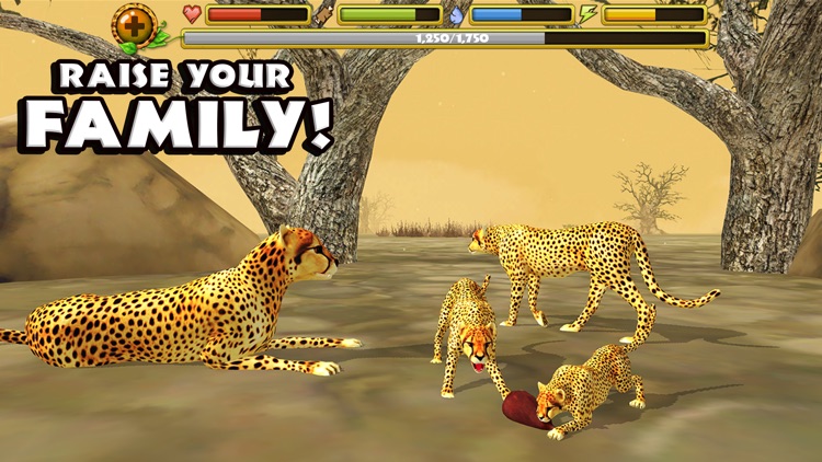 Cheetah Simulator screenshot-3