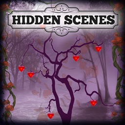 Hidden Scenes - Holidays