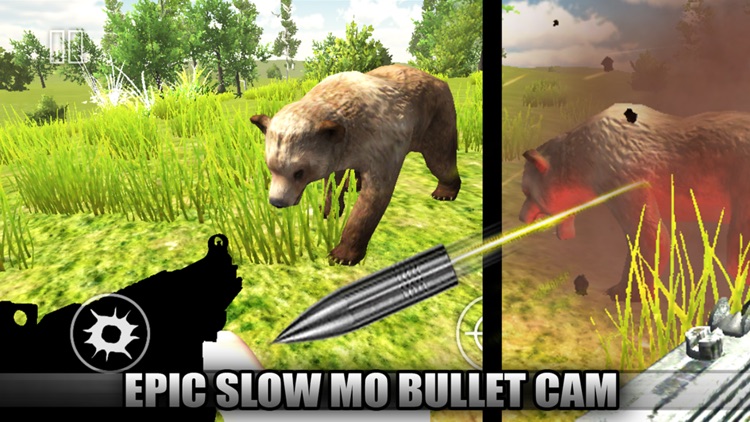 Ace Bird Sniper 2014 - Hunting Birds & Animals, Adult Simulator Hunter Games screenshot-3