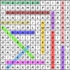 The Word Search Puzzle