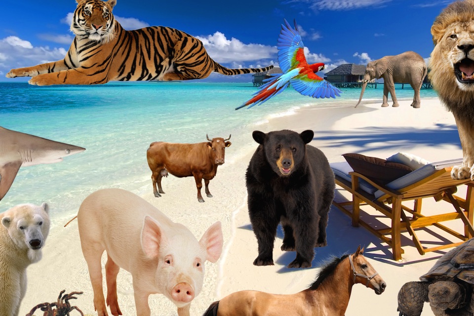 Animal Photo Booth - Add Real Animals to Your Images screenshot 2