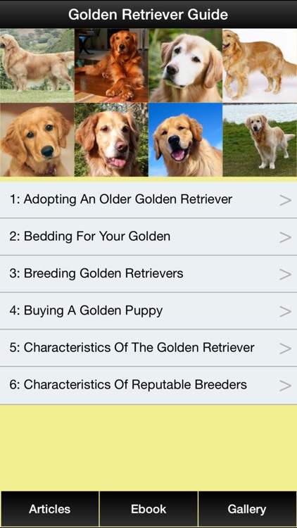 Golden Retriever Guide - Everything You Need To Know About Golden Retriever !