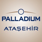 Palladium AVM