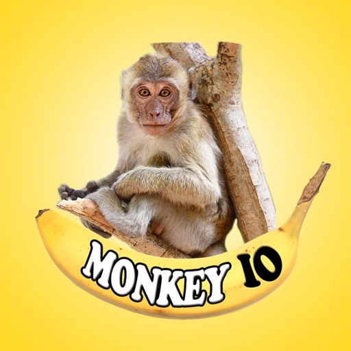 Monkey IO