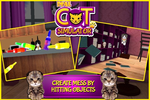 Real Cat Simulator 3D - Little Cute Kitty Simulation Game to Explore & Play in Home screenshot 2
