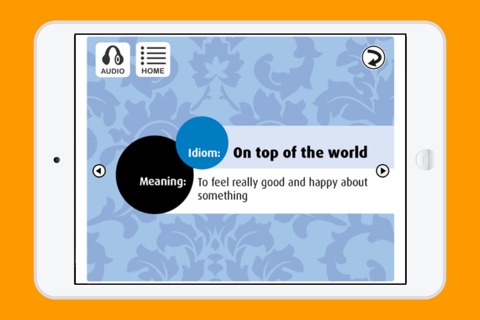 Idioms in Conversation I screenshot 2