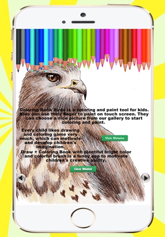 Coloring Book Birds screenshot 2