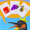 PL Flash Cards For Kids