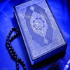 The Holy Quran (Arabic)