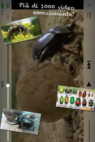 BugPedia screenshot 2