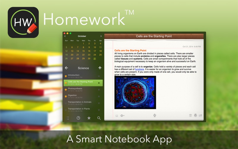 Homework™ thumbnail 1