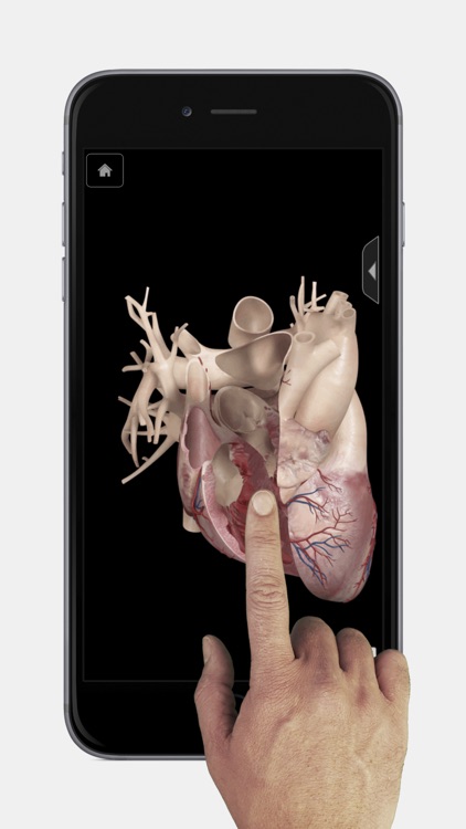 Heart Pro III - iPhone Edition