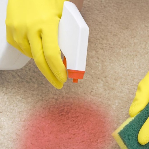Remove Stains - Stains Removal Techniques