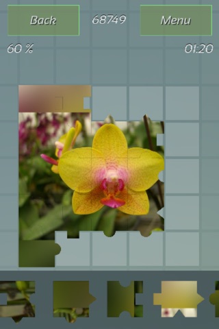 Flowers Best Puzzles screenshot 3