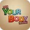 How Your Body Works UK