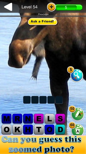 Zoomed Pic Quiz - Guess All The Animals 