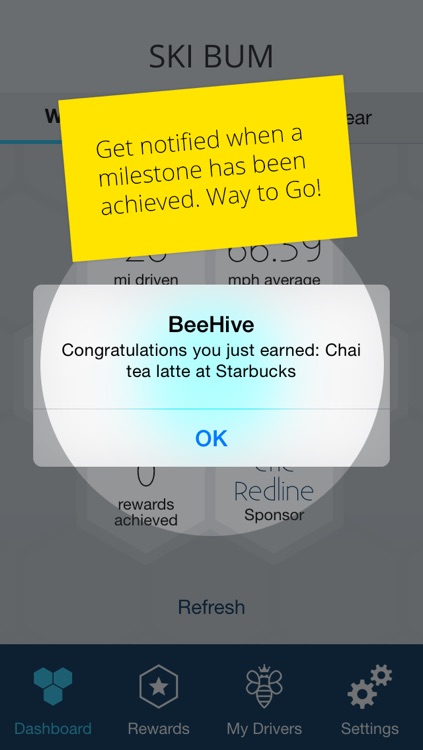 Drive BeeHive screenshot-3