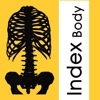 IB Thorax Abdomen - 3D Detailed Anatomy