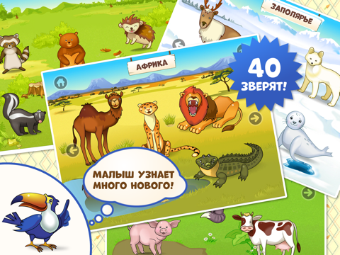 Зверята - Развивающие игры для детей для iPad