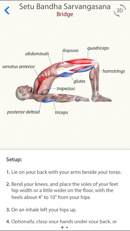 3D Yoga Anatomy