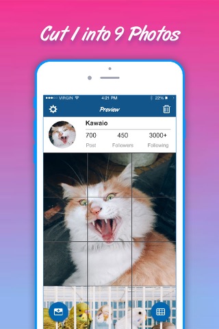Profile Preview for Instagram - Your IG Profile Picture, Photo, Post Viewer screenshot 2