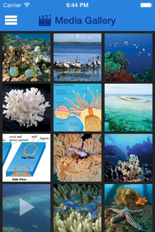 Britannica Kids: Coral Reefs screenshot 2