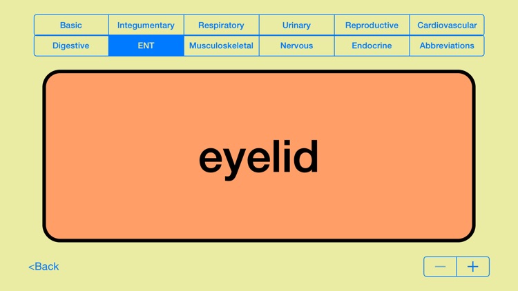 Medical Terms - Flashcards